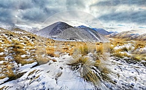Alpine grassland sprinkled with fresh snow in Mackenzie Country mountain area in the South Island of New Zealand photo