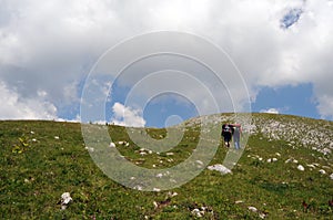 Alpine hikers