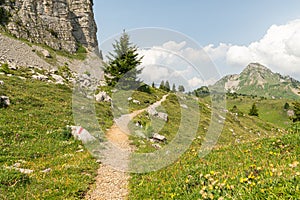 Alpine hiking path in the Swiss Alps near Schynige Platte. Beautiful hiking trail in an Swiss alpine meadow