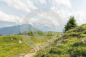 Alpine hiking path in the Swiss Alps near Schynige Platte. Beautiful hiking trail in an Swiss alpine meadow,