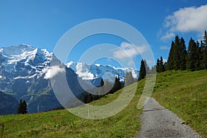 Alpine Hiking Trail