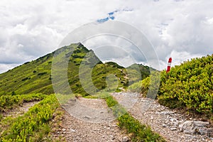 Alpine hiking trail. A stone winding road, surrounded by green plants, alpine roses. The cross at the top of the mountain