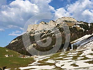 Alpine hill Alp Sigel in the Alpstein mountain range and in the Appenzellerland region