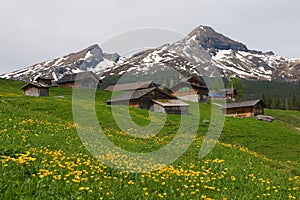 Alpine houses near Grindelwald