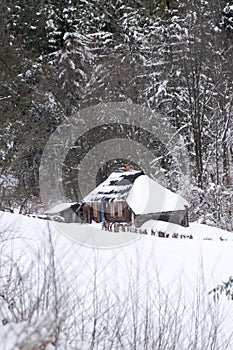 Alpine hut under snow