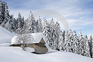 Alpine hut under snow