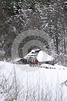 Alpine hut under snow photo