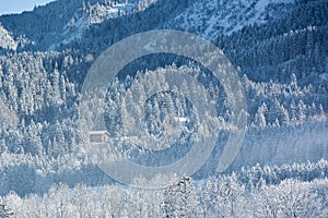 Alpine hut in wintery forest, Bavaria, Germany