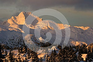 Alpine huts