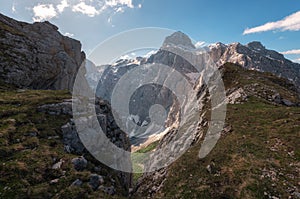 Alpine ibex in the high mountains