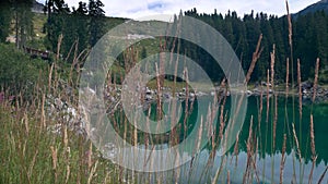 Alpine lake of Carezza in Val d\'Ega - Bolzano - south tyrol