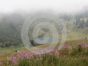 Alpine Lake in Foggy Weather