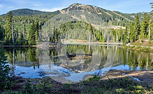 Alpine lake in forested mountains