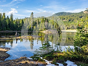 Alpine lake in forested mountains