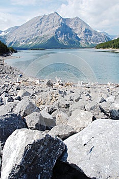 Alpine lake and mountain