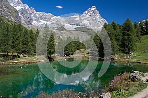 Alpine lake reflection