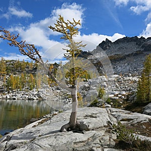 Alpine lake region of the enchantments of Washington state