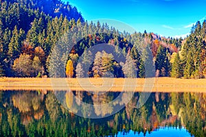 Alpine Lake Schwansee