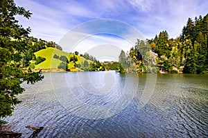 Alpine Lake on a sunny day, Marin county, north San Francisco bay area, California