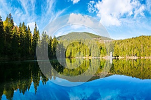 alpine lake synevyr in carpathian mountains in morning light