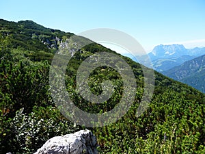 Alpine landscape