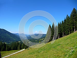 Alpine landscape