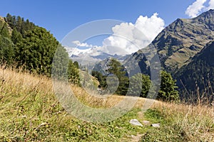 Alpine landscape