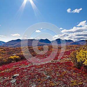 Alpine landscape in fall