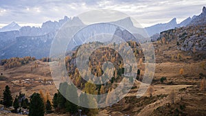 Alpine landscape during fall with golden larches and sharp mountains in background, Italy, Europe