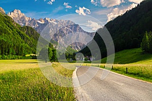 Alpine landscape with flowery meadows and mountains, Kamnik Alps, Slovenia