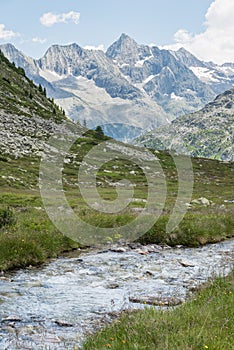 Alpine Landscape with Glacial River