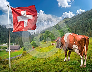 Alpine landscape with grazing cows and impressive mountain tops