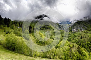 Alpine landscape and green fields,Magura