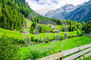 Alpine landscape with green meadows, Alps, Austria