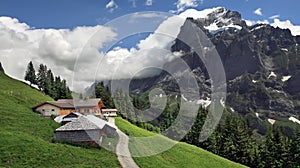 Alpine landscape with house on slope of mountain, Grindelwald - Switzerland photo