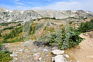 Alpine landscape in the Medicine Bow Mountains of Wyoming