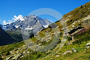 Alpine landscape, Monte Disgrazia photo