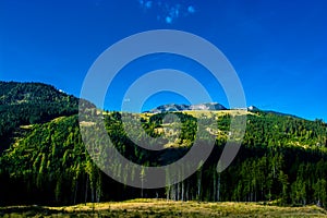 Alpine Landscape with Mountains and Forests in Austria