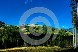 Alpine Landscape with Mountains and Forests in Austria