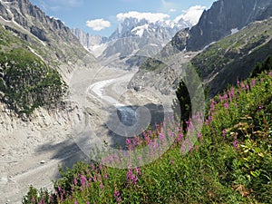 Alpine landscape with mountains and glacier valley