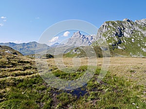 Alpine landscape in Praettigau with Sulzfluh in the background. Graubuenden, Switzerland.