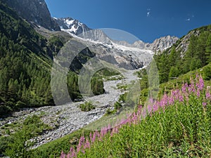 Alpine landscape with valley and snowy peaks