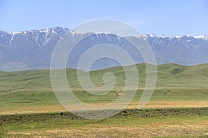 Alpine large ridge with snow-capped peaks and green hills at the foot in summer in sunny weather