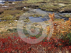 Alpine late fall scene