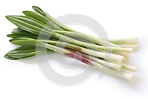 Alpine leek, victory onion