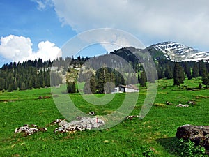 Alpine livestock farms and stables on the slopes of Churfirsten mountain range