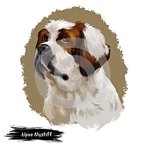 Alpine Mastiff dog digital art illustration isolated on white background. Extinct Molosser dog breed of gigantic size photo