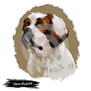 Alpine Mastiff dog digital art illustration isolated on white background. Extinct Molosser dog breed of gigantic size