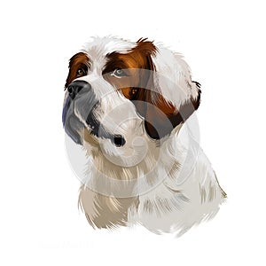 Alpine Mastiff dog digital art illustration isolated on white background. Extinct Molosser dog breed of gigantic size, dog with