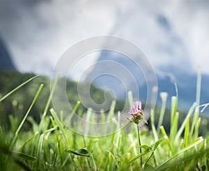 Alpine meadow against mountains and sunlight sky